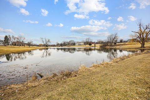 Tiny photo for 13 Lexington Road, South Barrington, IL 60010 (MLS # 12584992)