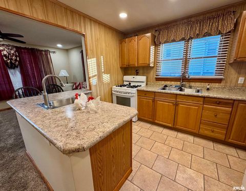 Tiny photo for 216 S HUBBARD Avenue, Goreville, IL 62939 (MLS # QC4269750)