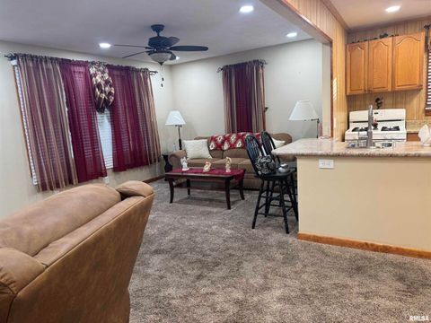 Tiny photo for 216 S HUBBARD Avenue, Goreville, IL 62939 (MLS # QC4269750)