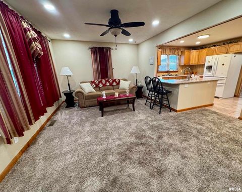 Tiny photo for 216 S HUBBARD Avenue, Goreville, IL 62939 (MLS # QC4269750)