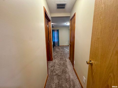 Tiny photo for 216 S HUBBARD Avenue, Goreville, IL 62939 (MLS # QC4269750)