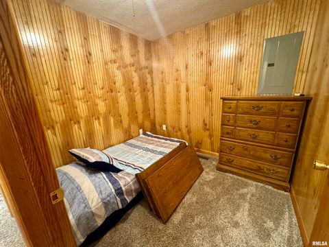 Tiny photo for 216 S HUBBARD Avenue, Goreville, IL 62939 (MLS # QC4269750)