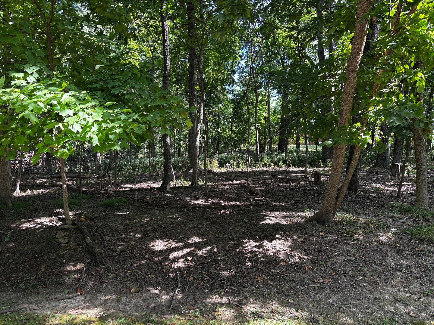 1102 Jay Court