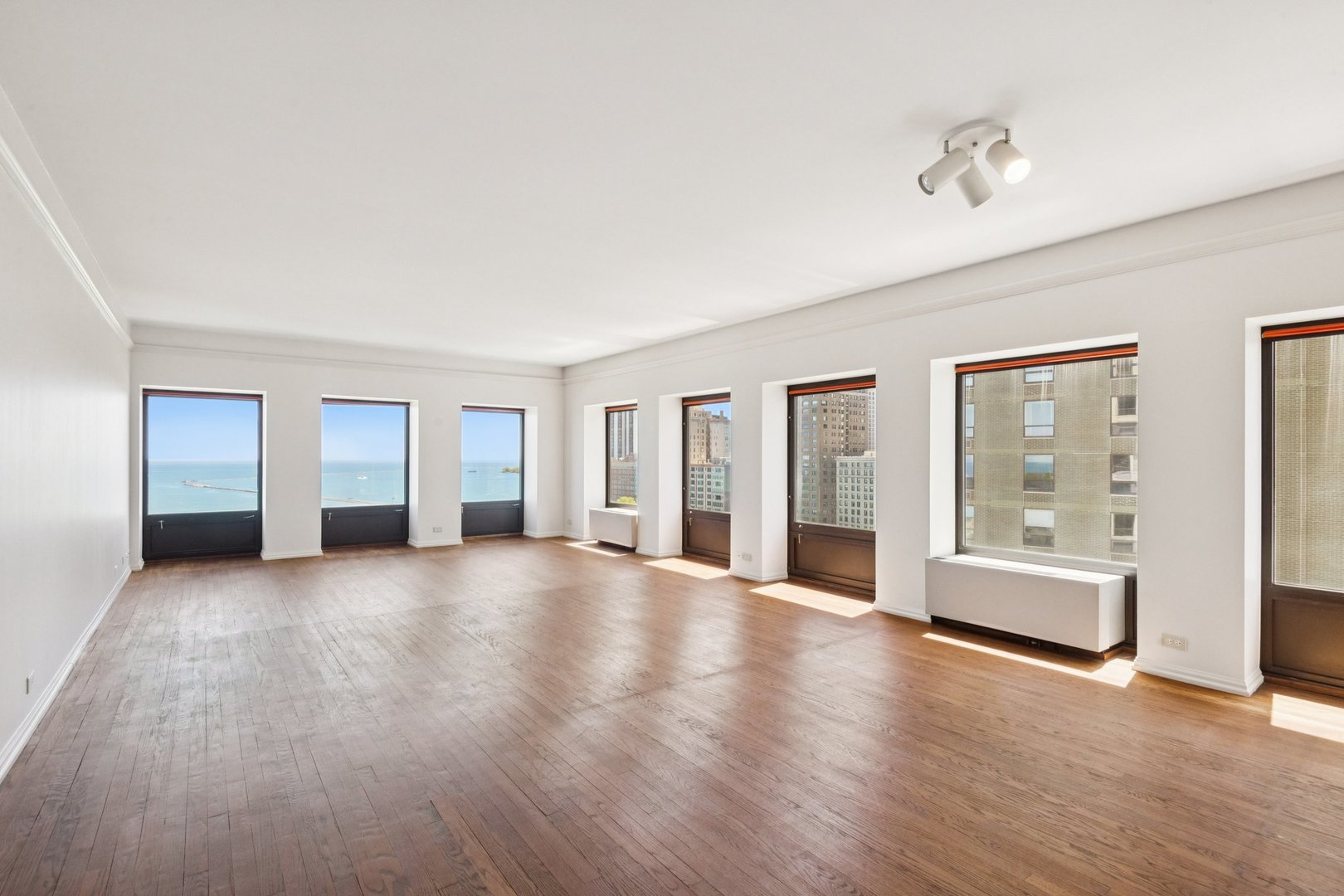 1100 N Lake Shore Drive 15B