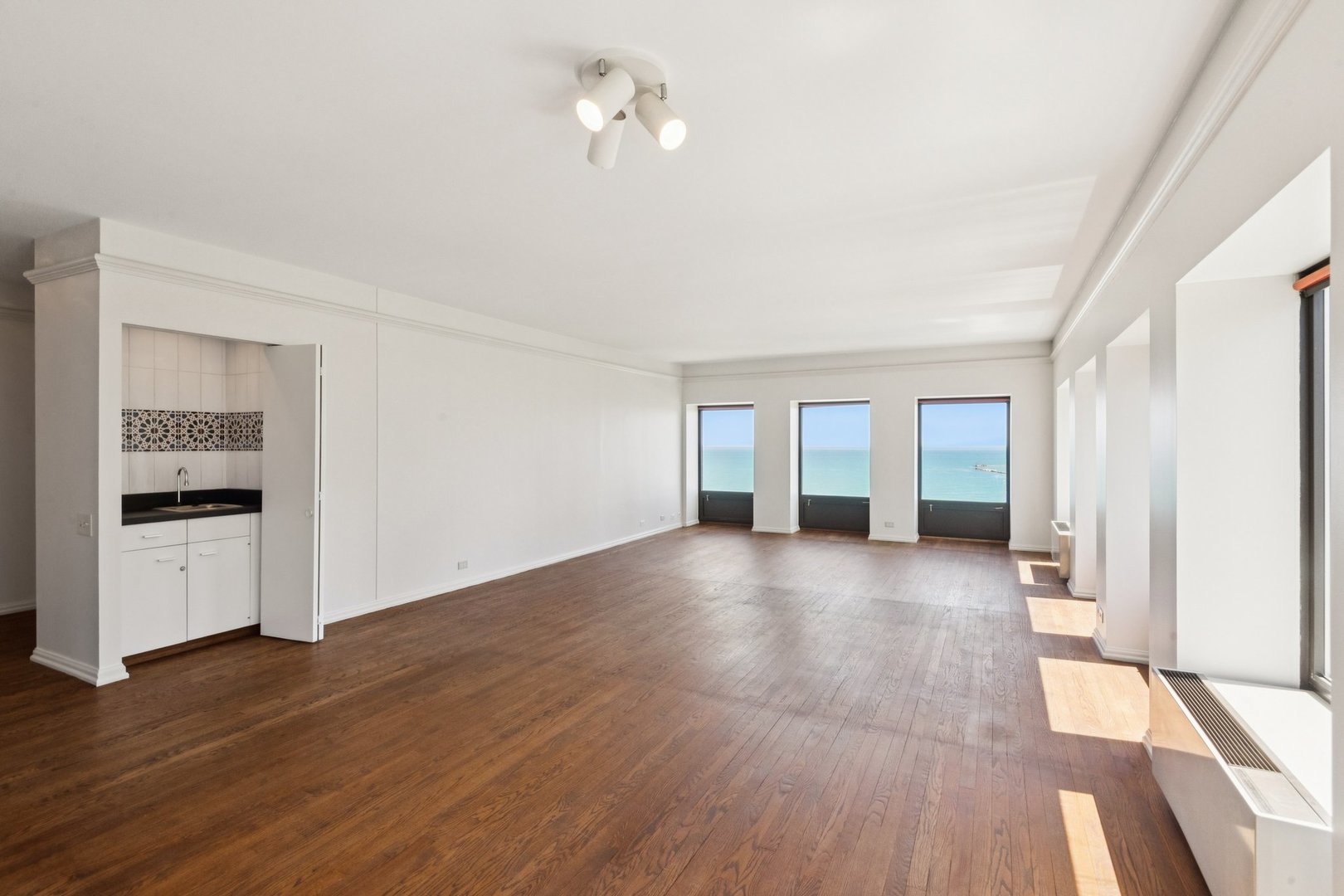 1100 N Lake Shore Drive 15B