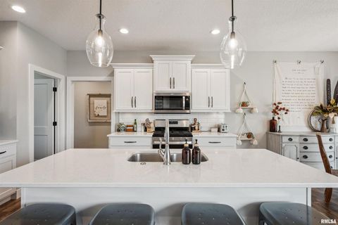 Tiny photo for 783 SWEET WOOD Lane, Blue Grass, IA 52726 (MLS # QC4268766)