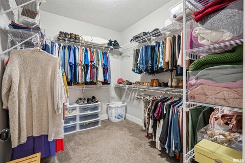 Tiny photo for 783 SWEET WOOD Lane, Blue Grass, IA 52726 (MLS # QC4268766)