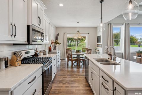 Tiny photo for 783 SWEET WOOD Lane, Blue Grass, IA 52726 (MLS # QC4268766)