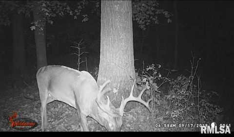 Tiny photo for 1640 PLEASANT RIDGE Road, Vienna, IL 62995 (MLS # EB458080)