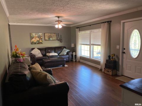 Tiny photo for 1640 PLEASANT RIDGE Road, Vienna, IL 62995 (MLS # EB458080)