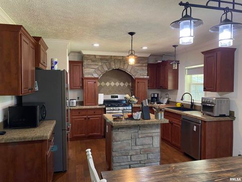 Tiny photo for 1640 PLEASANT RIDGE Road, Vienna, IL 62995 (MLS # EB458080)