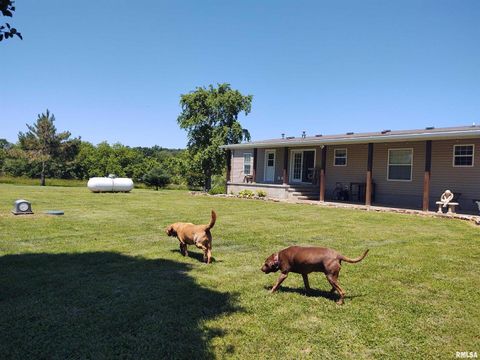 Tiny photo for 1640 PLEASANT RIDGE Road, Vienna, IL 62995 (MLS # EB458080)