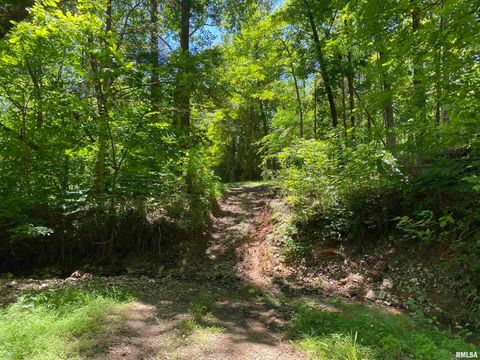 Tiny photo for 1640 PLEASANT RIDGE Road, Vienna, IL 62995 (MLS # EB458080)