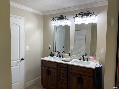 Tiny photo for 1640 PLEASANT RIDGE Road, Vienna, IL 62995 (MLS # EB458080)