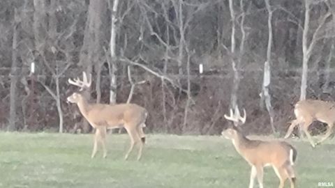 Tiny photo for 1640 PLEASANT RIDGE Road, Vienna, IL 62995 (MLS # EB458080)