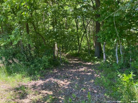 Tiny photo for 1640 PLEASANT RIDGE Road, Vienna, IL 62995 (MLS # EB458080)