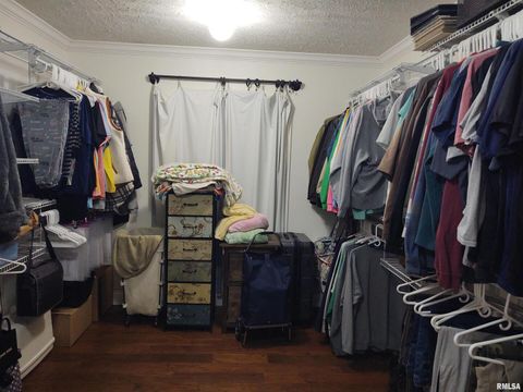 Tiny photo for 1640 PLEASANT RIDGE Road, Vienna, IL 62995 (MLS # EB458080)