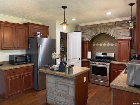 Tiny photo for 1640 PLEASANT RIDGE Road, Vienna, IL 62995 (MLS # EB458080)