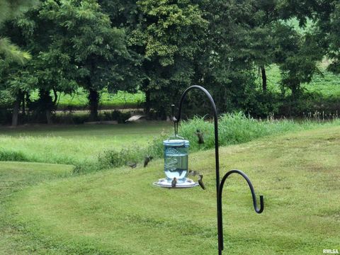 Tiny photo for 1640 PLEASANT RIDGE Road, Vienna, IL 62995 (MLS # EB458080)