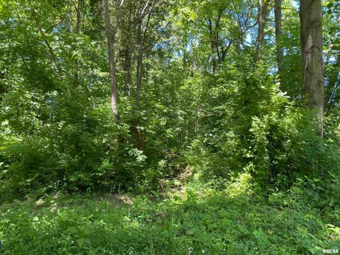 Tiny photo for 1640 PLEASANT RIDGE Road, Vienna, IL 62995 (MLS # EB458080)
