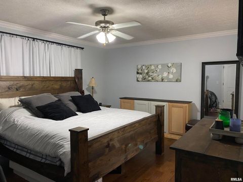 Tiny photo for 1640 PLEASANT RIDGE Road, Vienna, IL 62995 (MLS # EB458080)