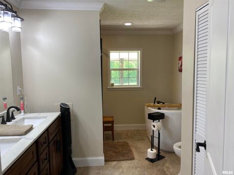 Tiny photo for 1640 PLEASANT RIDGE Road, Vienna, IL 62995 (MLS # EB458080)