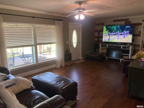 Tiny photo for 1640 PLEASANT RIDGE Road, Vienna, IL 62995 (MLS # EB458080)