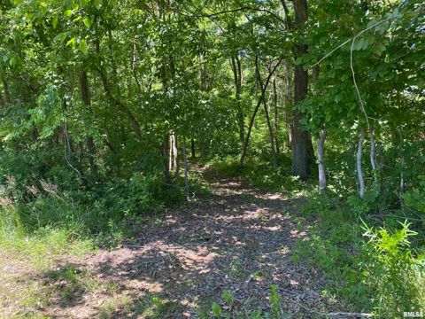 Tiny photo for 1640 PLEASANT RIDGE Road, Vienna, IL 62995 (MLS # EB458080)