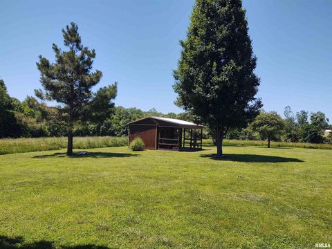 Tiny photo for 1640 PLEASANT RIDGE Road, Vienna, IL 62995 (MLS # EB458080)