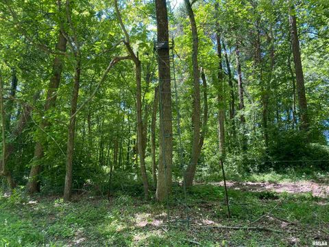 Tiny photo for 1640 PLEASANT RIDGE Road, Vienna, IL 62995 (MLS # EB458080)