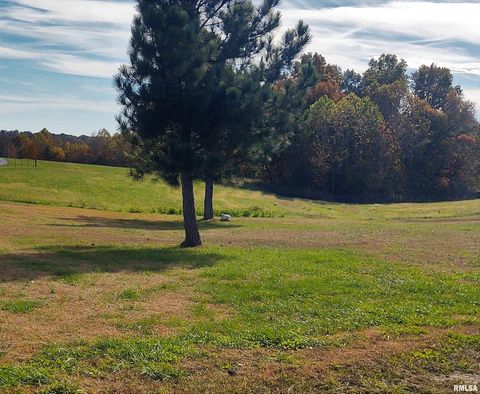 Tiny photo for 1640 PLEASANT RIDGE Road, Vienna, IL 62995 (MLS # EB458080)