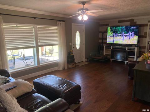 Tiny photo for 1640 PLEASANT RIDGE Road, Vienna, IL 62995 (MLS # EB458080)