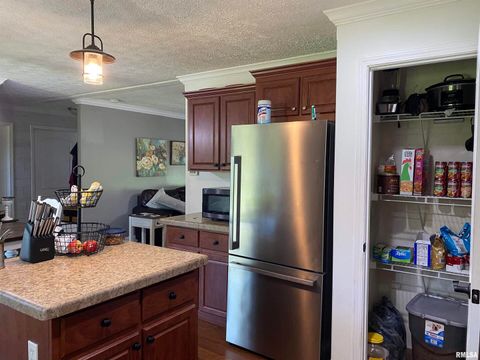 Tiny photo for 1640 PLEASANT RIDGE Road, Vienna, IL 62995 (MLS # EB458080)