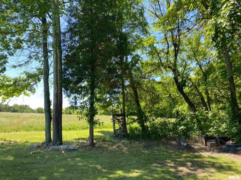 Tiny photo for 1640 PLEASANT RIDGE Road, Vienna, IL 62995 (MLS # EB458080)