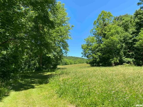 Tiny photo for 1640 PLEASANT RIDGE Road, Vienna, IL 62995 (MLS # EB458080)