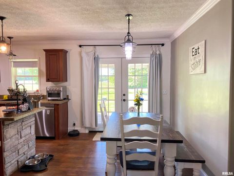 Tiny photo for 1640 PLEASANT RIDGE Road, Vienna, IL 62995 (MLS # EB458080)