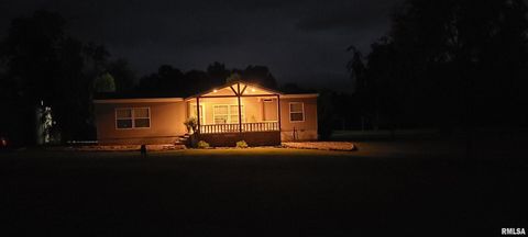 Tiny photo for 1640 PLEASANT RIDGE Road, Vienna, IL 62995 (MLS # EB458080)