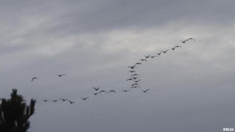 Tiny photo for 1640 PLEASANT RIDGE Road, Vienna, IL 62995 (MLS # EB458080)