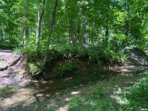 Tiny photo for 1640 PLEASANT RIDGE Road, Vienna, IL 62995 (MLS # EB458080)