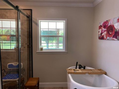 Tiny photo for 1640 PLEASANT RIDGE Road, Vienna, IL 62995 (MLS # EB458080)