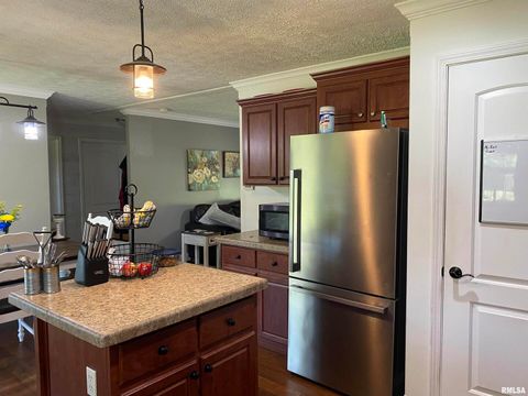 Tiny photo for 1640 PLEASANT RIDGE Road, Vienna, IL 62995 (MLS # EB458080)