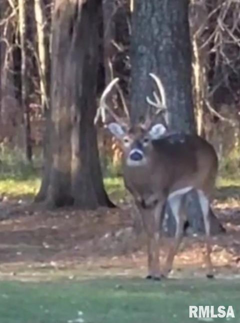 Tiny photo for 1640 PLEASANT RIDGE Road, Vienna, IL 62995 (MLS # EB458080)