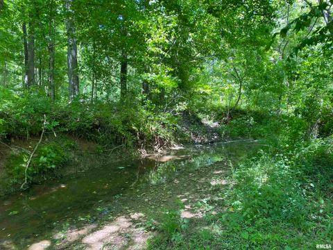 Tiny photo for 1640 PLEASANT RIDGE Road, Vienna, IL 62995 (MLS # EB458080)