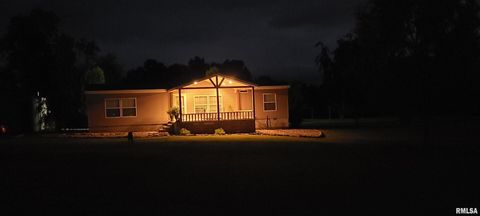 Tiny photo for 1640 PLEASANT RIDGE Road, Vienna, IL 62995 (MLS # EB458080)