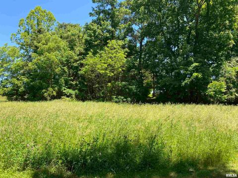 Tiny photo for 1640 PLEASANT RIDGE Road, Vienna, IL 62995 (MLS # EB458080)