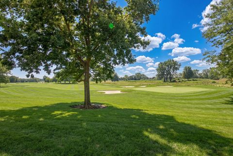 Tiny photo for 584 Elizabeth Drive #B, Wood Dale, IL 60191 (MLS # 12696949)