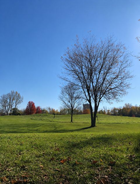 Tiny photo for 584 Elizabeth Drive #B, Wood Dale, IL 60191 (MLS # 12696949)