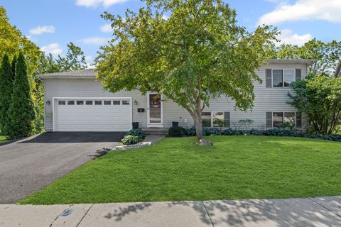 Photo of 411 Park Avenue, Cary, IL 60013 (MLS # 12486177)