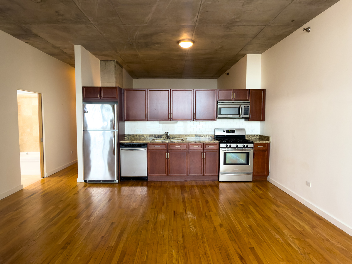 1720 S Michigan Avenue 3002