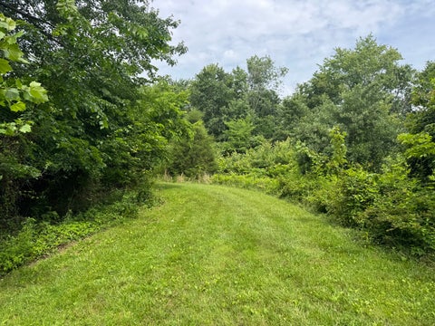 Tiny photo for 1669 US Highway 45 Highway, Cisne, IL 62823 (MLS # 12663662)